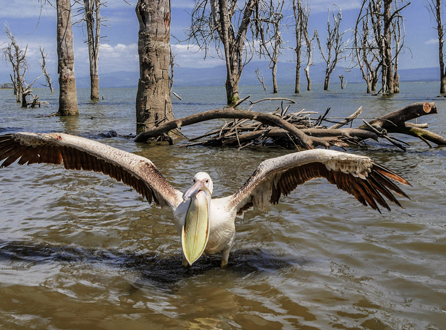 NAIVASHA, KENYA
