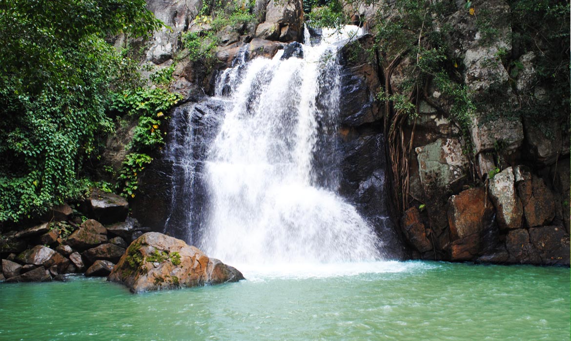 Gopalpur, Daringbadi