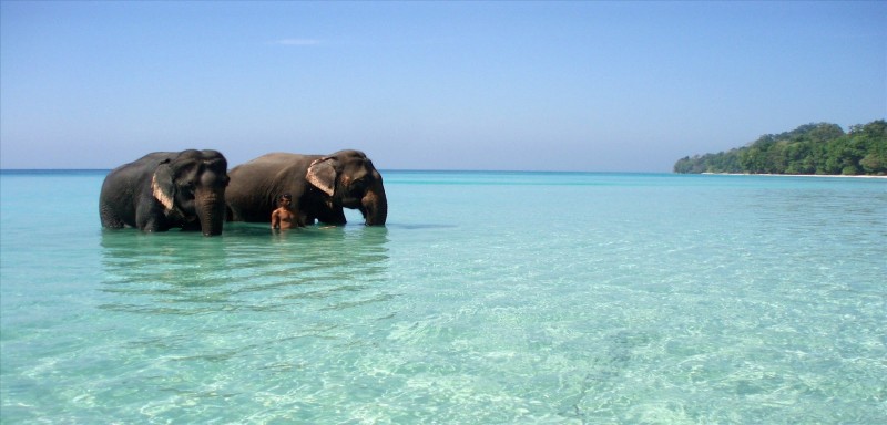 SIMPLY ANDAMANS