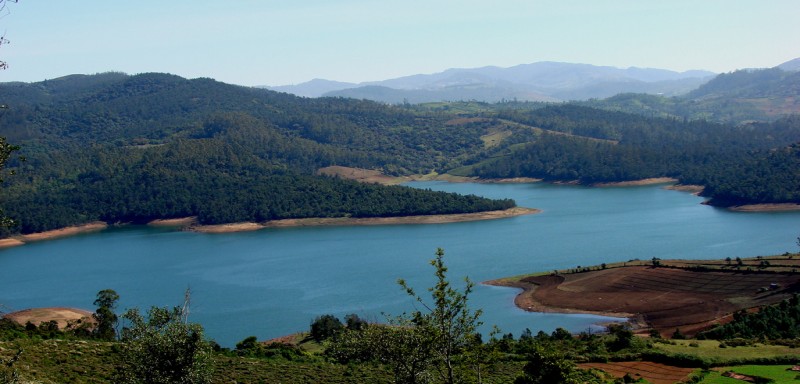 BEAUTY OF MYSORE, COORG, AND OOTY