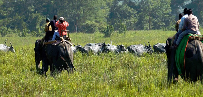 MEGHALAYA AND ASSAM CIRCUIT