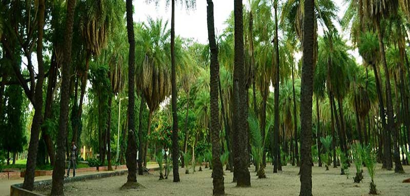OOTY- HYDERABAD