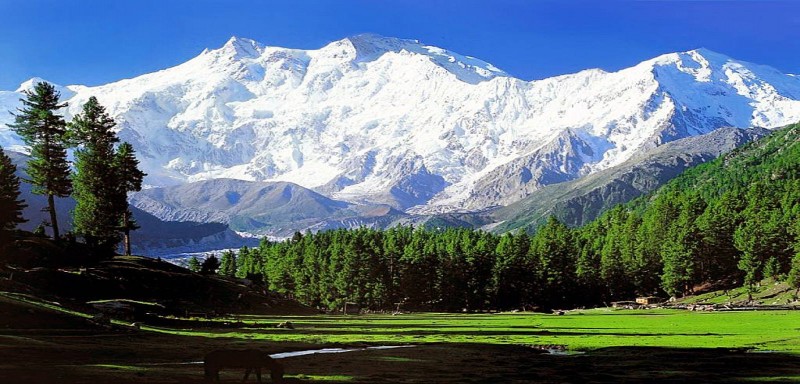 BEST OF KASHMIR