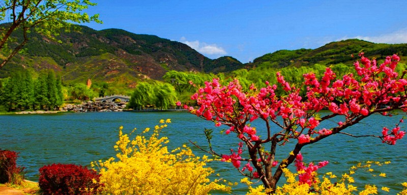 FABULOUS KASHMIR