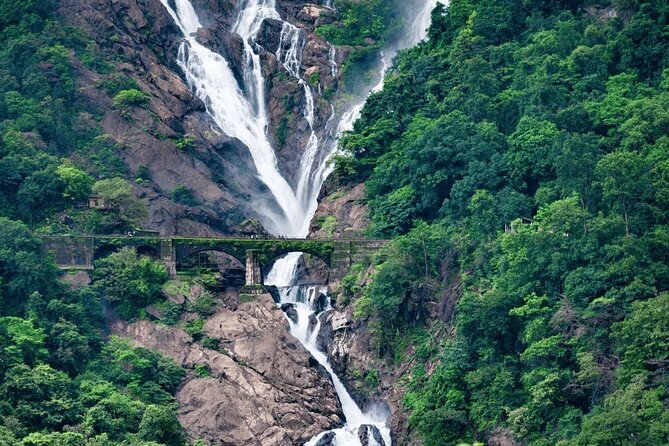 VIBRANT GOA