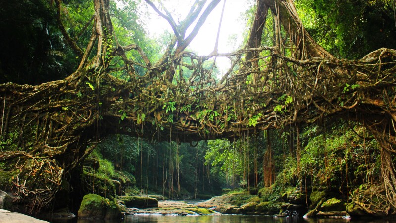 Guwahati-Shillong - Get coloured in culture